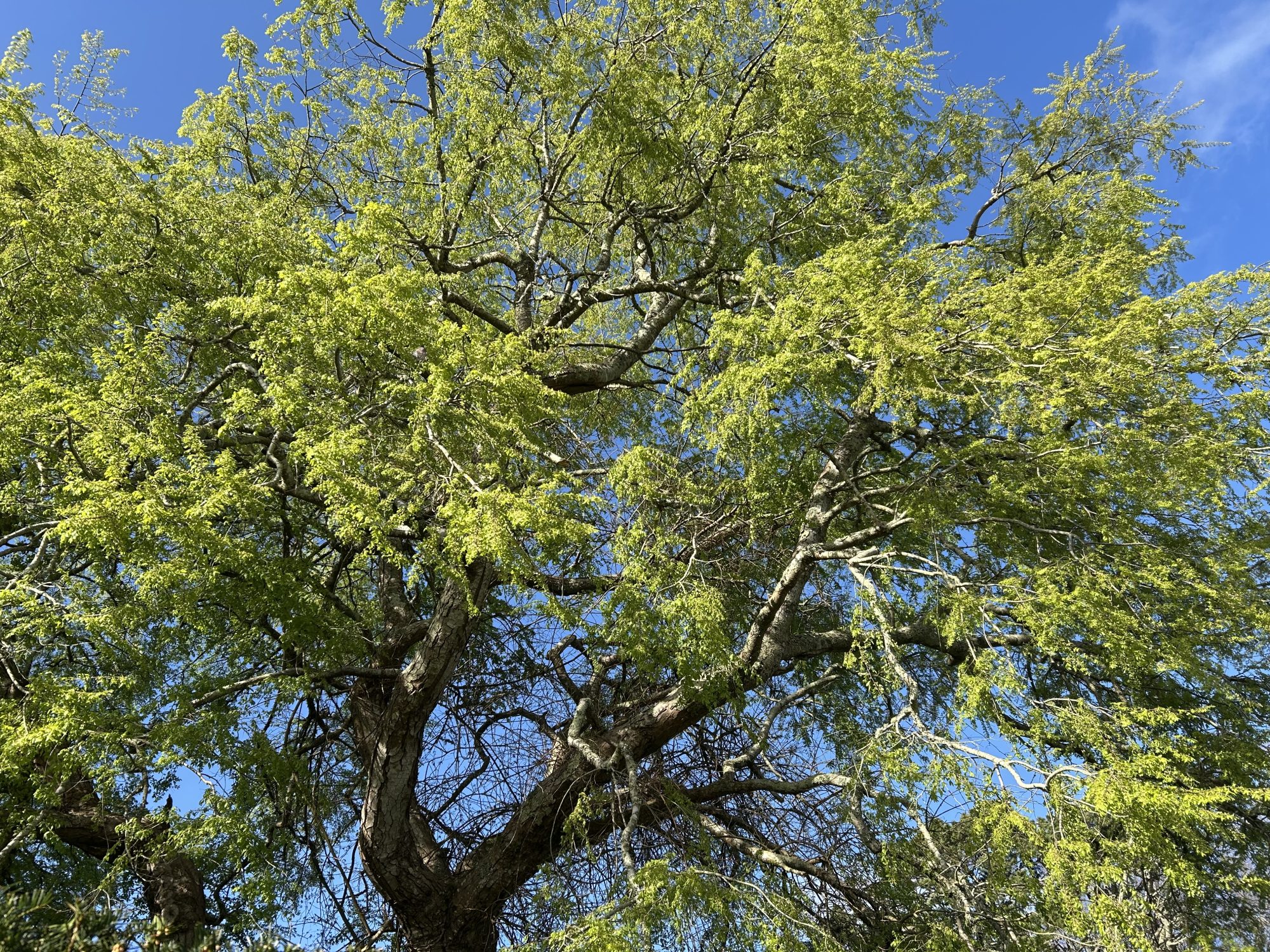 The current image has no alternative text. The file name is: IMG_0226-scaled.jpeg