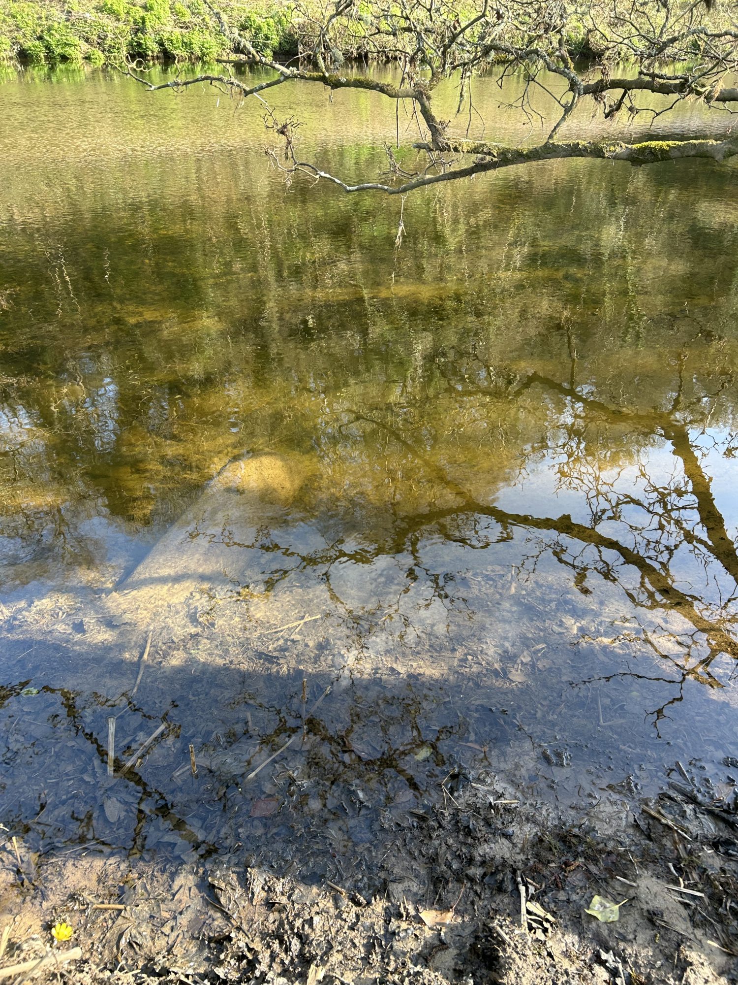 The current image has no alternative text. The file name is: IMG_0241-scaled.jpeg