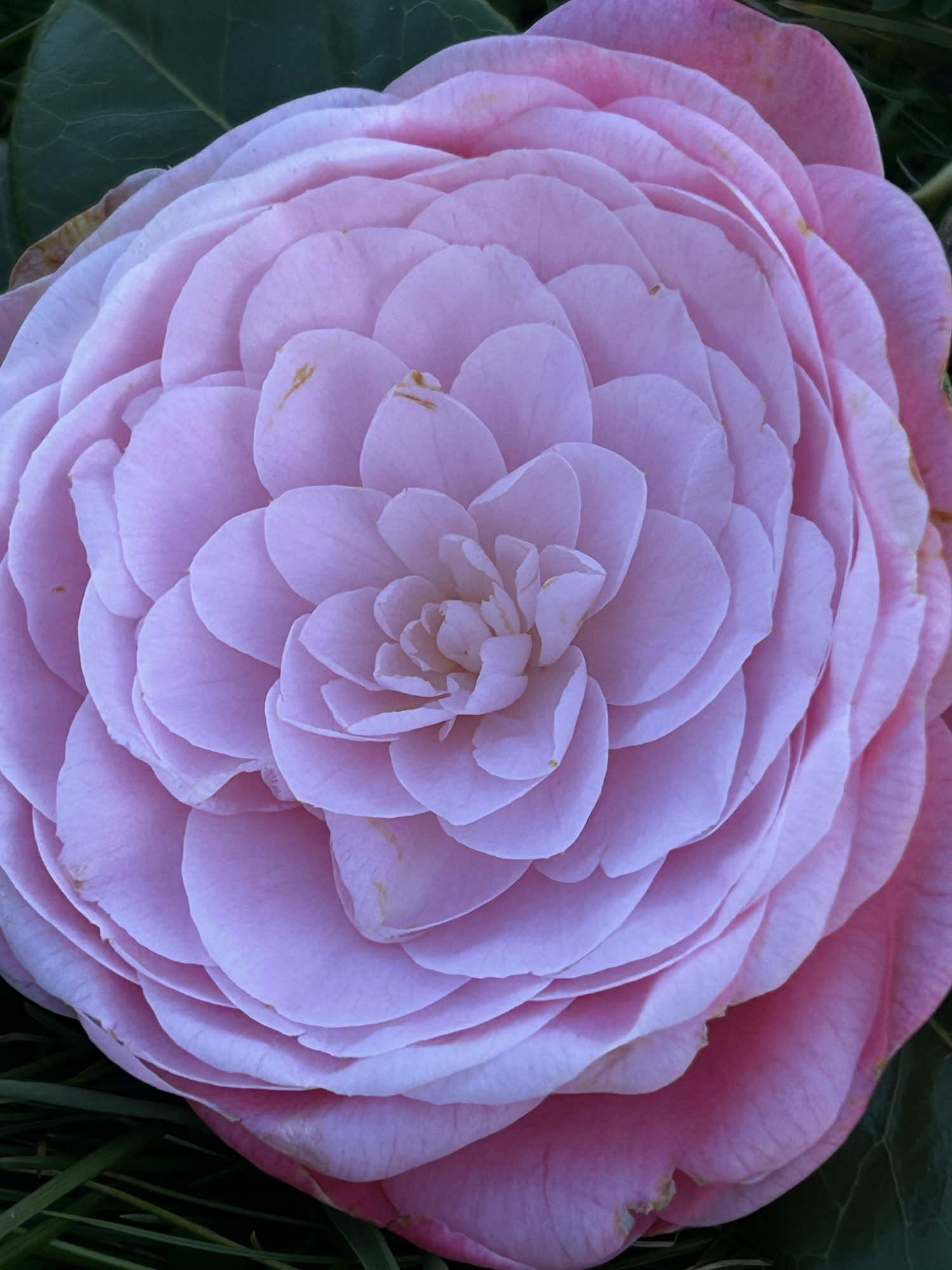 The current image has no alternative text. The file name is: IMG_0252-scaled.jpeg