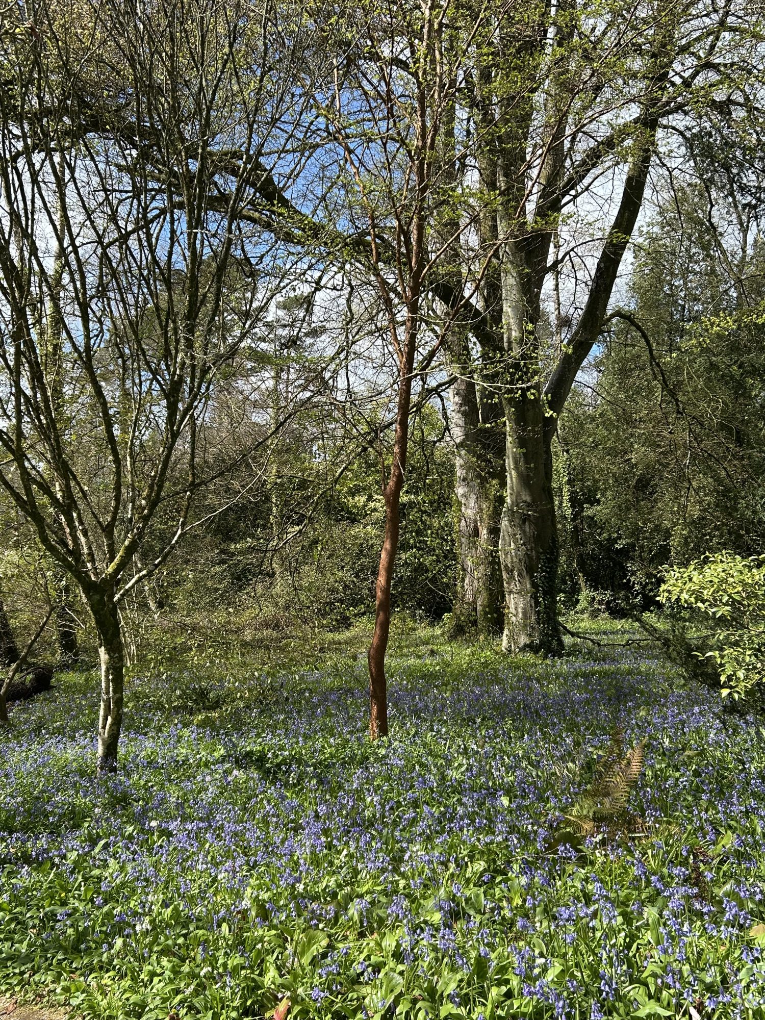 The current image has no alternative text. The file name is: IMG_0270-scaled.jpeg