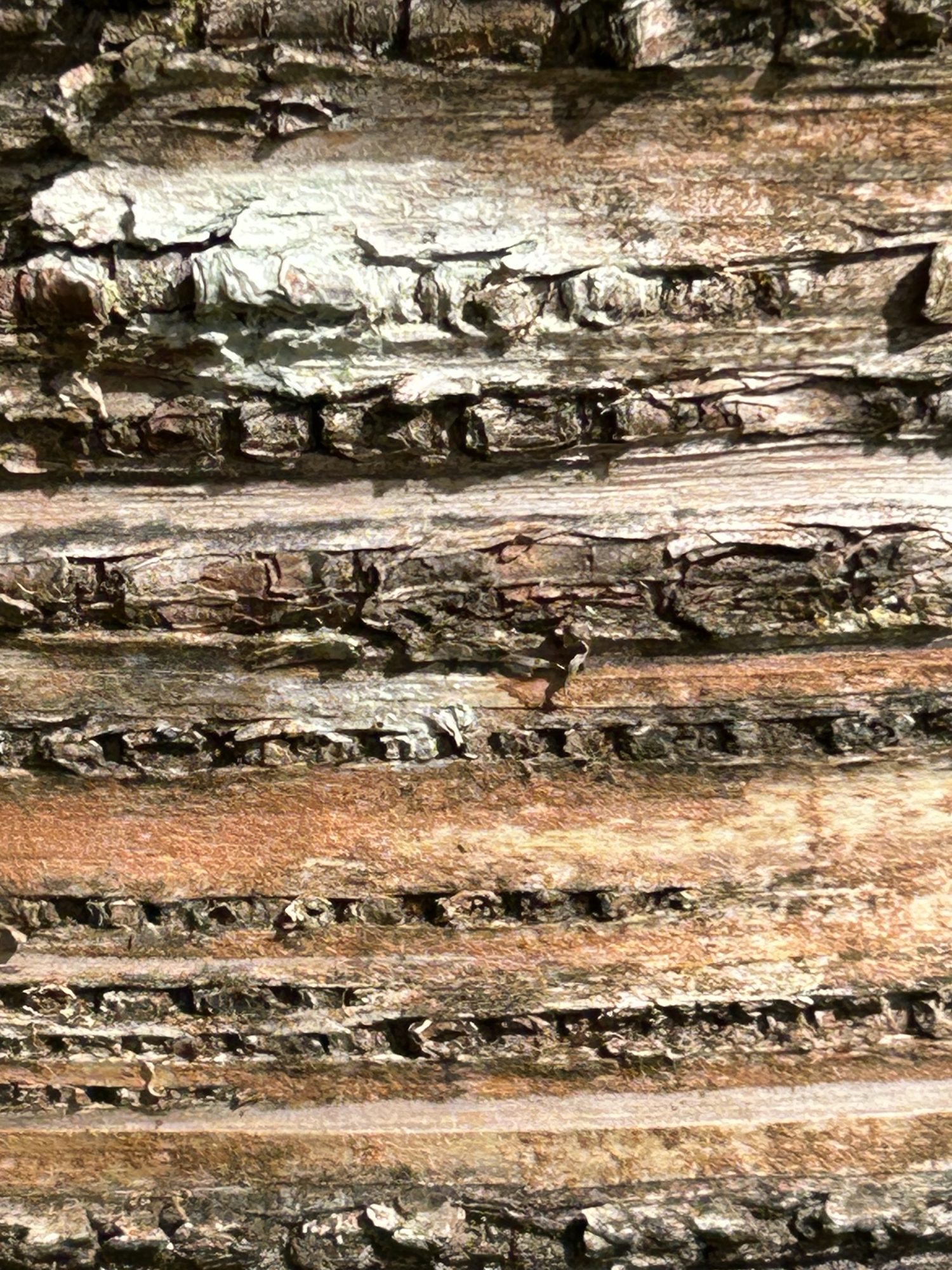 The current image has no alternative text. The file name is: IMG_0272-scaled.jpeg